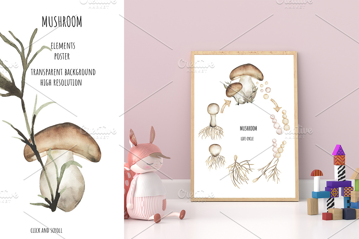 Watercolor Life Cycle Bundle, an Education Illustration by MayaNavits (Photo 12 of 22)