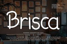 Brisca - Modern Handwritten Font