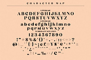 Begika Modern and Classy Serif Font, a Script Font by Storytype Studio (Thumbnail 9 of 11)