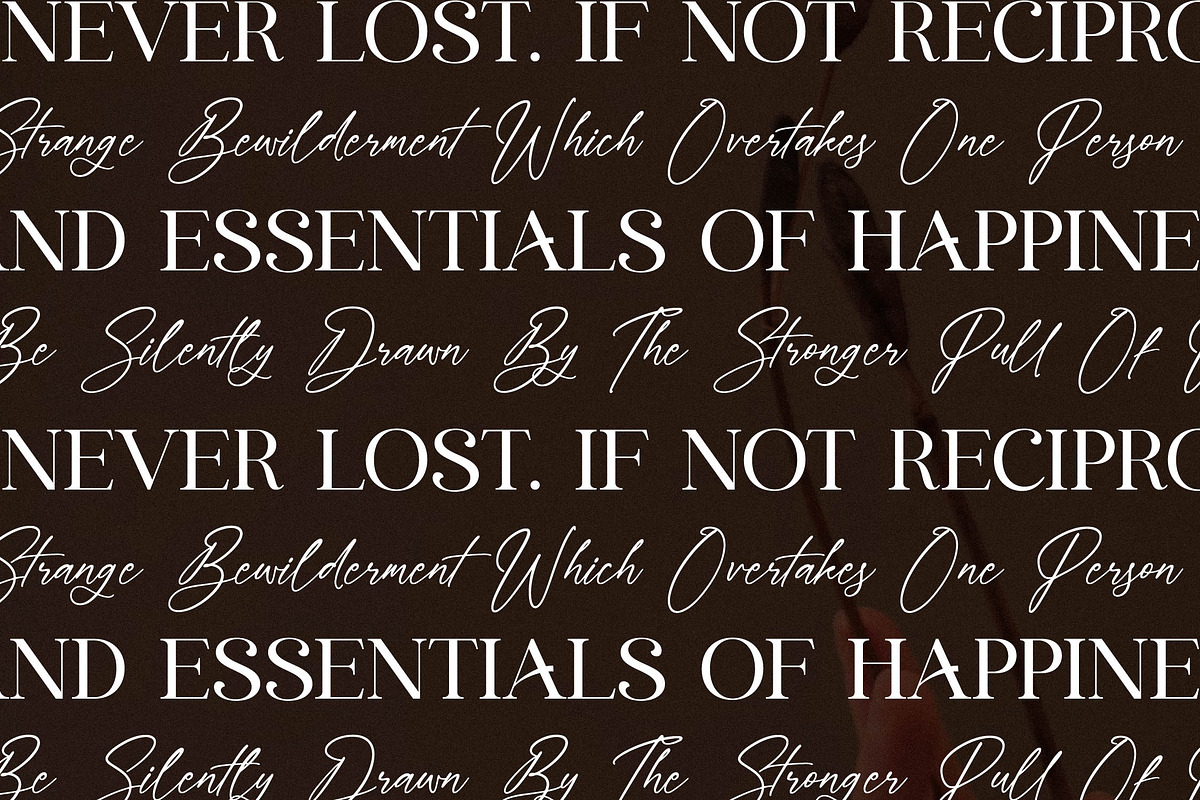 Everlast Roman Font Duo, a Serif Font by Storytype Studio (Photo 6 of 15)
