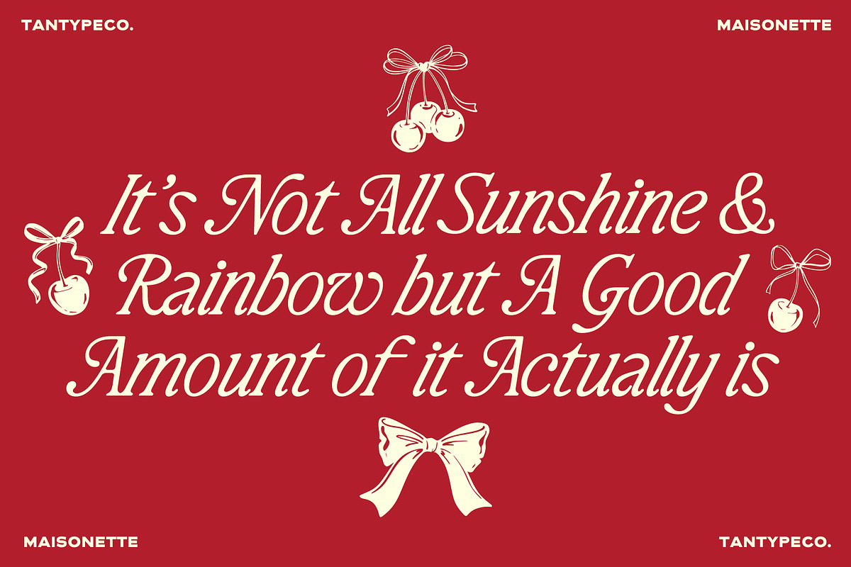 TAN-MAISONETTE, a Serif Font by TanType (Photo 9 of 10)