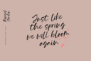 Tropical Garden, a Handwritten Font by Papermode Co. (Thumbnail 2 of 7)