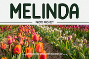Slicao Acerton Monoline Display Font, a Sans Serif Font by Maulana Creative (Thumbnail 6 of 7)