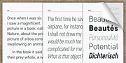 Core Sans D, a Sans Serif Font by S-Core (Thumbnail 4 of 6)