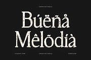 CS Quinzel Stamp, a Serif Font by Craft Supply Co. (Thumbnail 6 of 8)