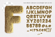 Old Dry Grass or Fur Typo Creator, a Sans Serif Font by TVartworks (Thumbnail 11 of 13)