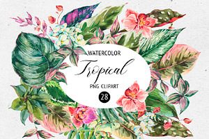 Tropical leaves graphic pack