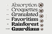 Selukar - Display Variable Font, a Serif Font by Artflorara (Thumbnail 8 of 16)