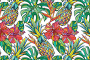 Vector tropical set, a Background Graphic by Purple Platypus (Thumbnail 4 of 10)