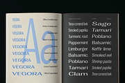 Vegora Display Sans, a Sans Serif Font by Fargun Studio (Thumbnail 13 of 15)