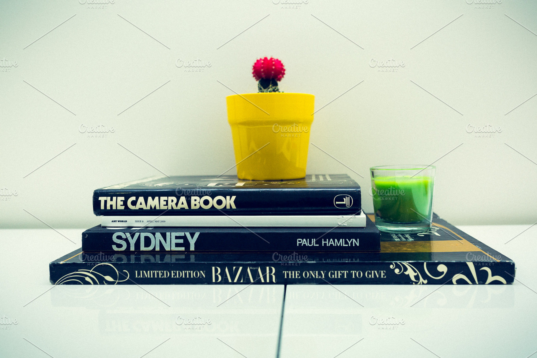 Photography magazine, book, cactus., a School & Education Photo by phoNGuyen Photography