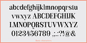 Royalis, a Serif Font by Julien Fincker (Thumbnail 7 of 15)
