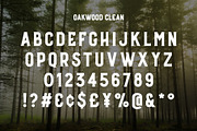 Oakwood - Rustic Font, a Font by Medialoot (Thumbnail 3 of 6)