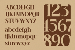 Early Lunar 3 Weights Serif Font