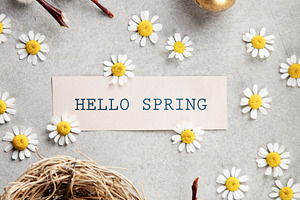 Hello Spring Card with Golden Easter Eggs Nest and Daisies, a Holiday Photo by Natalia Klenova's Shop