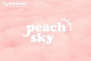 Andromeda // A Vintage Soft Serif, a Serif Font by Megs Lang (Thumbnail 4 of 18)