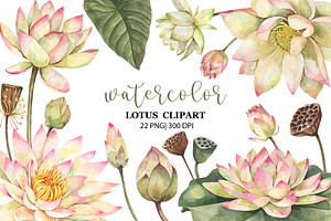 Watercolor Lotus Clipart, PNG