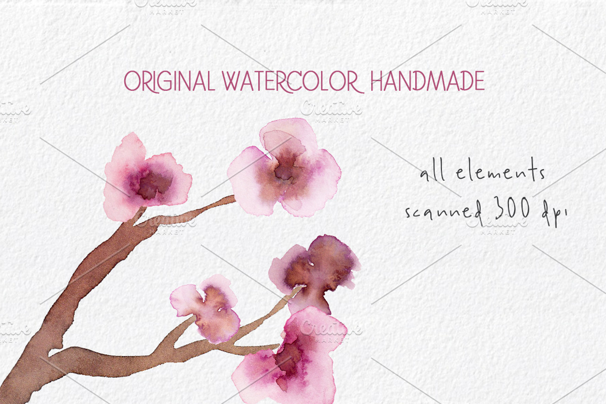 Cherry Blossoms- Watercolor clipart, an Illustration by MaraquelaStudio (Photo 4 of 7)