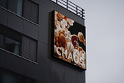 CHAOS 3d VIDEO & image, a Graphic by Mio Buono (Thumbnail 7 of 14)