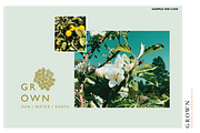 GROWN Plant Logo Branding Kit, a Branding & Logo Template by CC CREATIVE CO (Thumbnail 9 of 9)