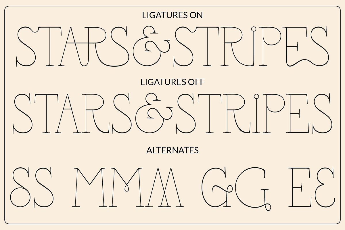 The Modern Font Bundle Vol.5 80% OFF, a Sans Serif Font by Tropical Type (Photo 38 of 43)