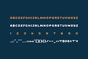 Frosha Fluid Typeface (12 Fonts), a Handwritten Font by alpercakici (Thumbnail 13 of 13)