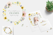 Spring Meadow Wildflower Collection, an Illustration by Kim Thoa Designs (Thumbnail 5 of 9)