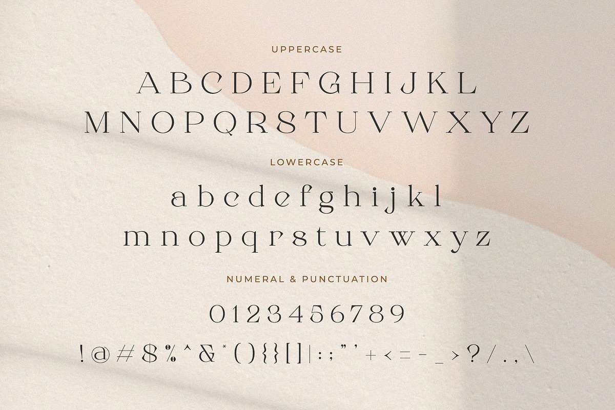 Roman Sophisticated Font Duo, a Serif Font by BrandSemut (Photo 17 of 20)