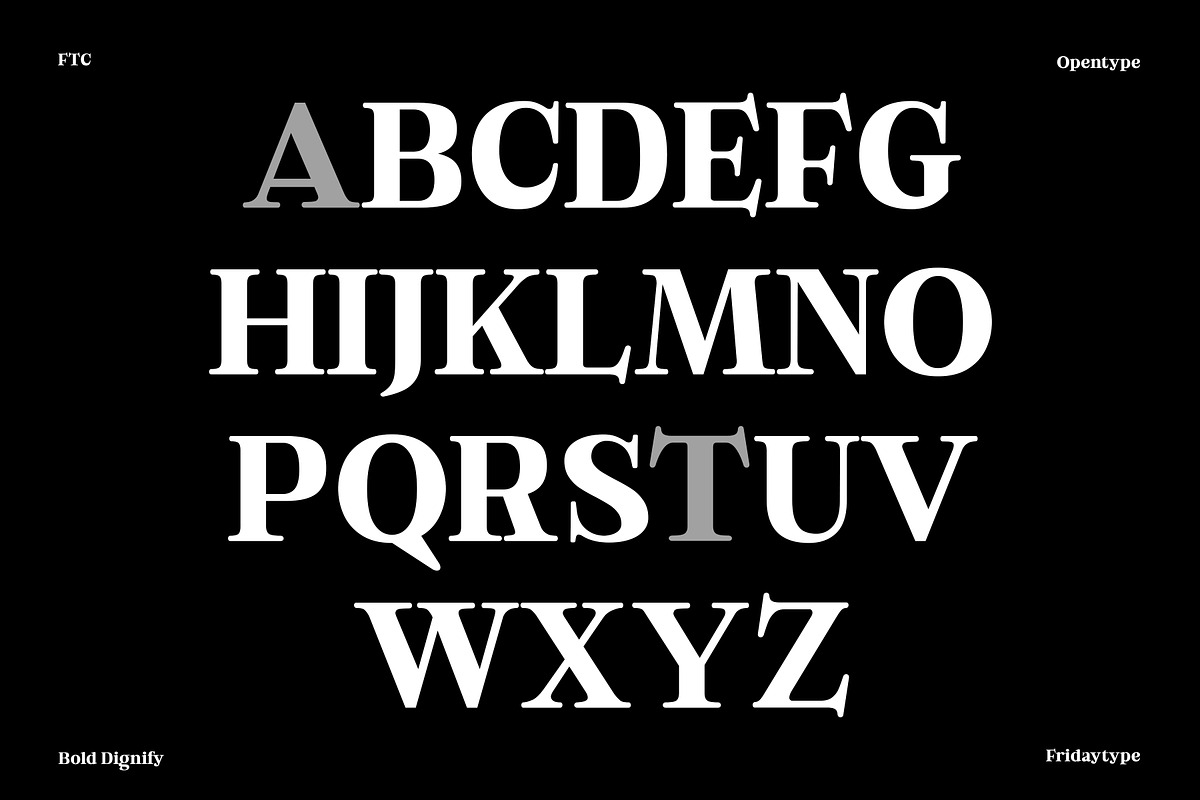 Bold Dignify - Minimalist Calm Serif, a Serif Font by Fridaytype (Photo 6 of 12)