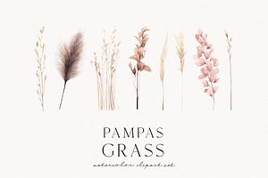 Pampas Grass