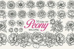 Peony Flower Line Art Illustration
