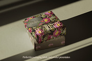Vintage Botanical Charm Collage Pack, an Object Graphic by lerinartstudio (Thumbnail 6 of 14)