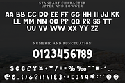 Winter Bold, a Sans Serif Font by FreshTypeINK (Thumbnail 4 of 8)