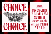 LYCANTH - Dramatic Editorial, a Serif Font by Eotype Studio (Thumbnail 6 of 9)