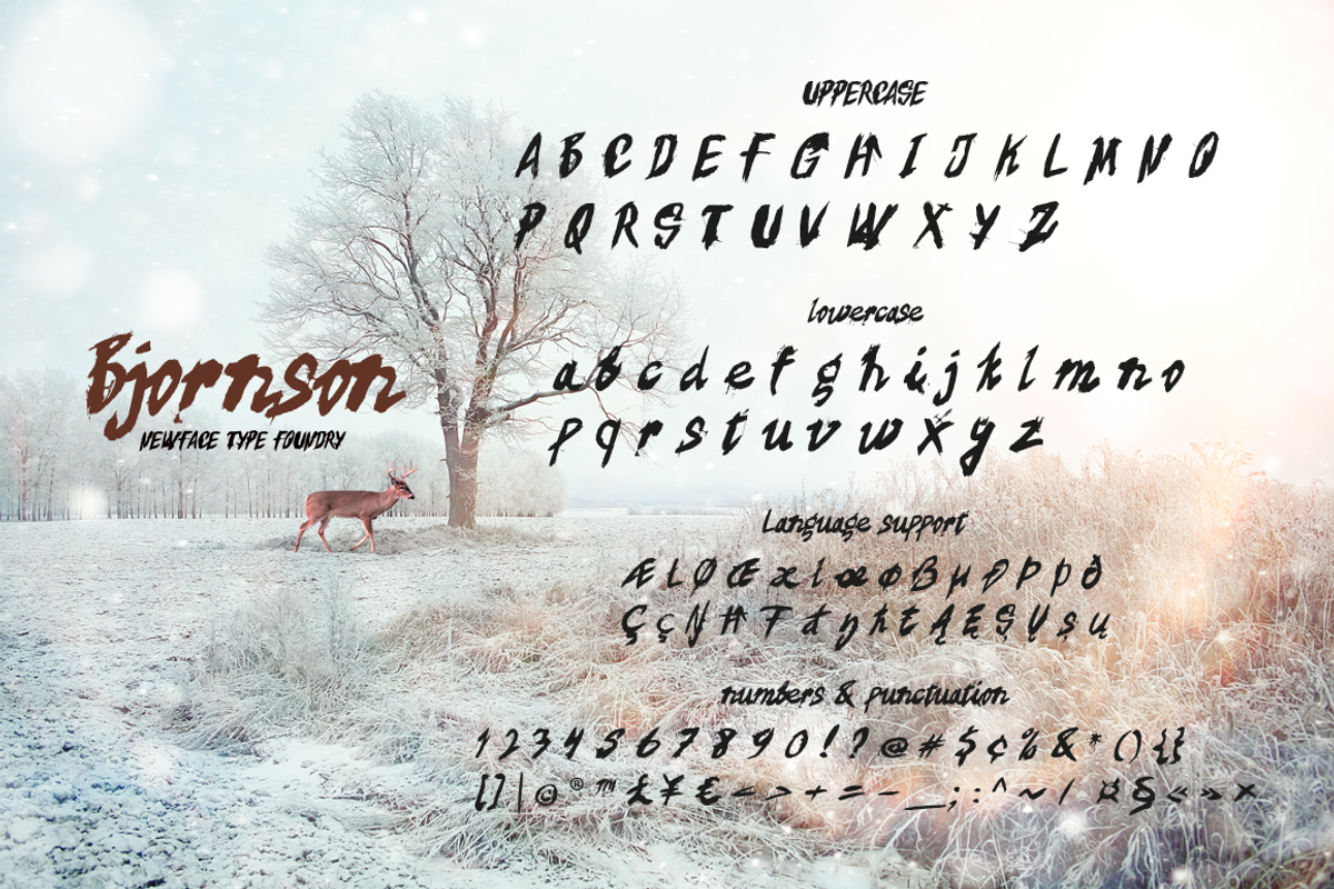 Bjornson preview 6