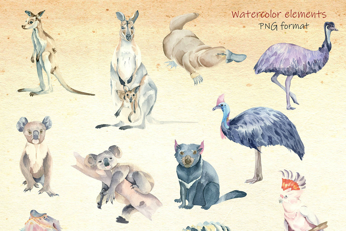 Welcom to Australia, an Animal Illustration by Watercolor arts (Photo 2 of 5)