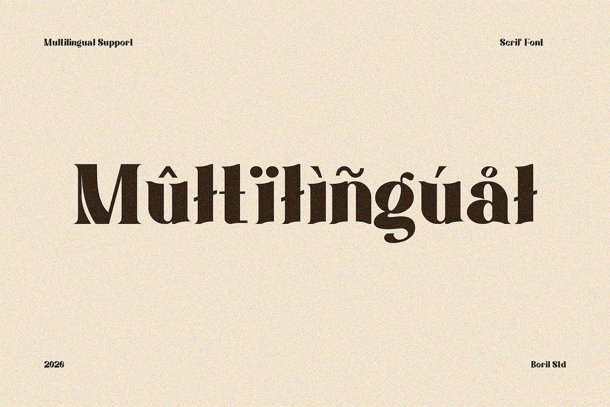 ManciNanci - Serif Font, a Serif Font by Boril Std (Photo 10 of 12)