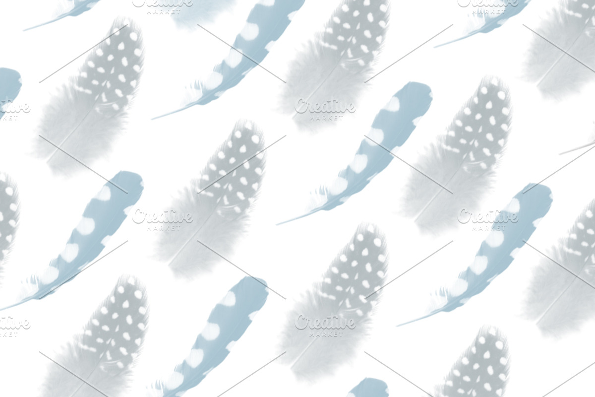 Feather Photoshop brushes, a Brush Add-On by Little Bean (Photo 3 of 6)