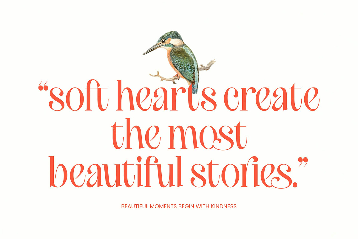 Brasky Modern Serif Display, a Serif Font by timelesstype.co (Photo 9 of 10)