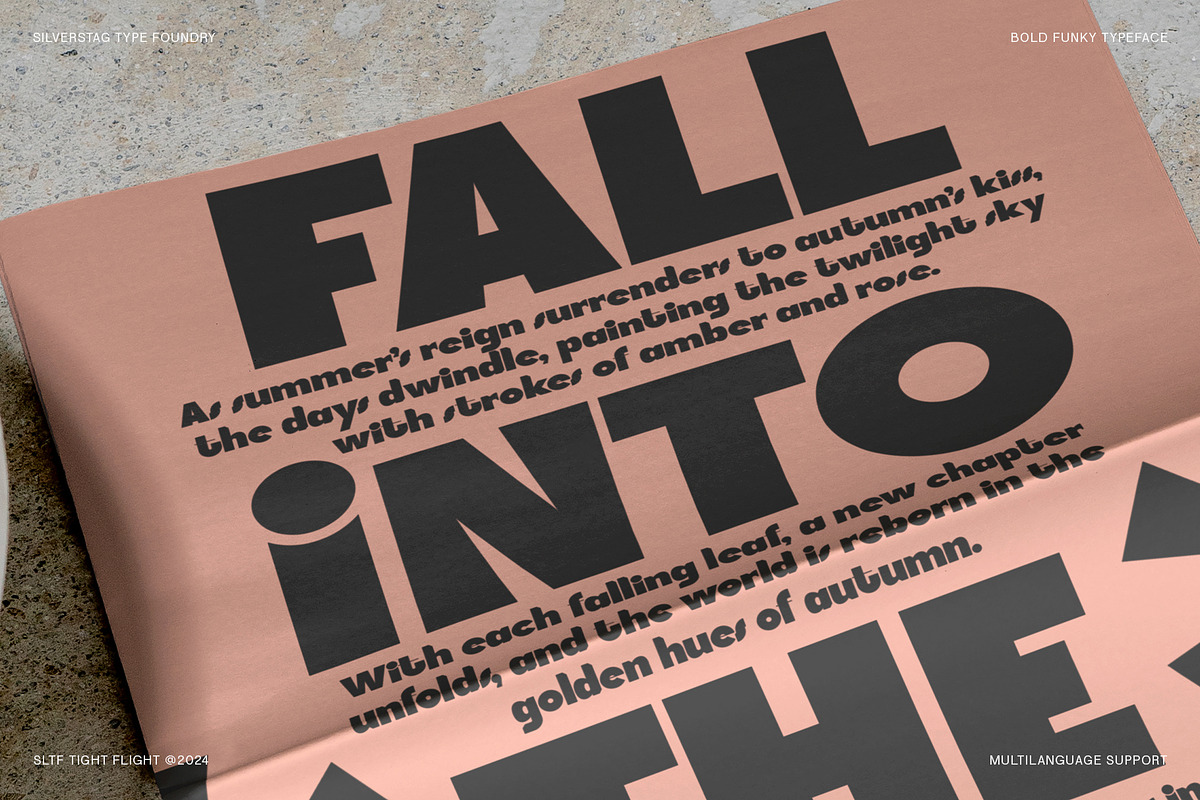 SLTF Tight Flight - Bold Funky Font, a Sans Serif Font by SilverStag Type Foundry (Photo 2 of 19)