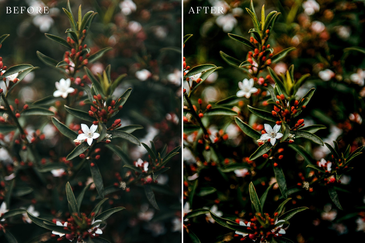 Floral Lightroom Presets, a Layer Style Add-On by Rapita Photography© (Photo 7 of 11)
