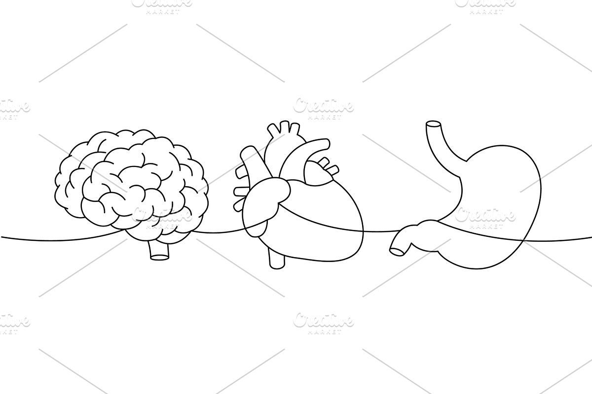 Set of human organ one line, a Healthcare Illustration by GraphiShop