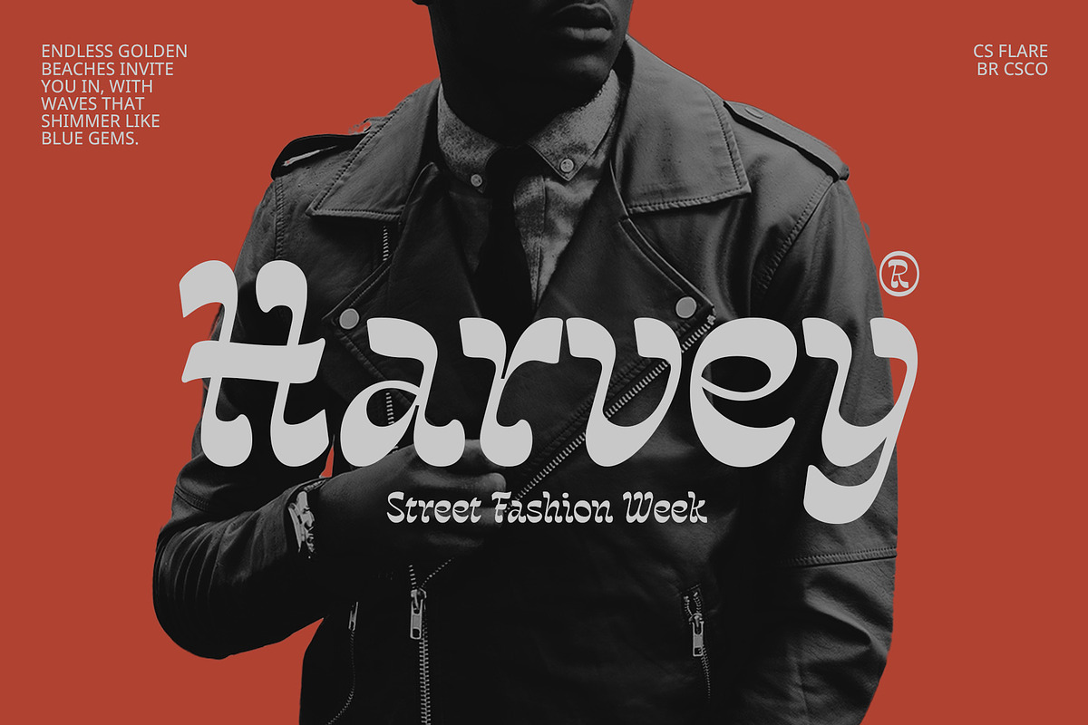 CS Flare – Reverse Contrast Font, a Serif Font by Craft Supply Co. (Photo 5 of 8)