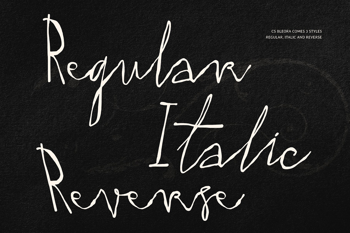 CS Bleora - Raw Script Font, a Script Font by Craft Supply Co. (Photo 4 of 8)