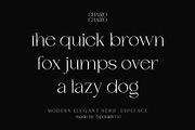 Chairo | Modern Serif Typeface, a Serif Font by Typoraith Co (Thumbnail 13 of 13)