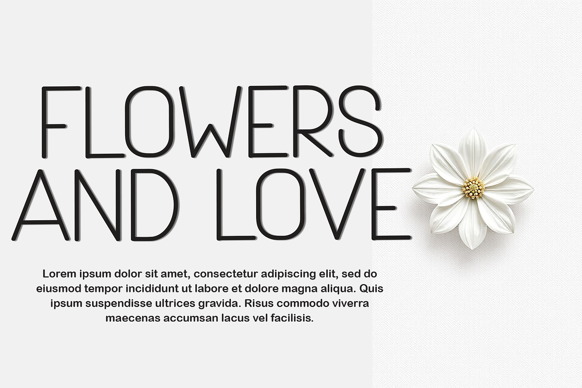 Brother Sans, a Sans Serif Font by FreshTypeINK (Photo 6 of 8)