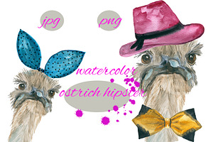 ostrich hipster