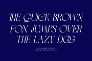 Movisa, a Serif Font by zaaintype (Thumbnail 15 of 15)
