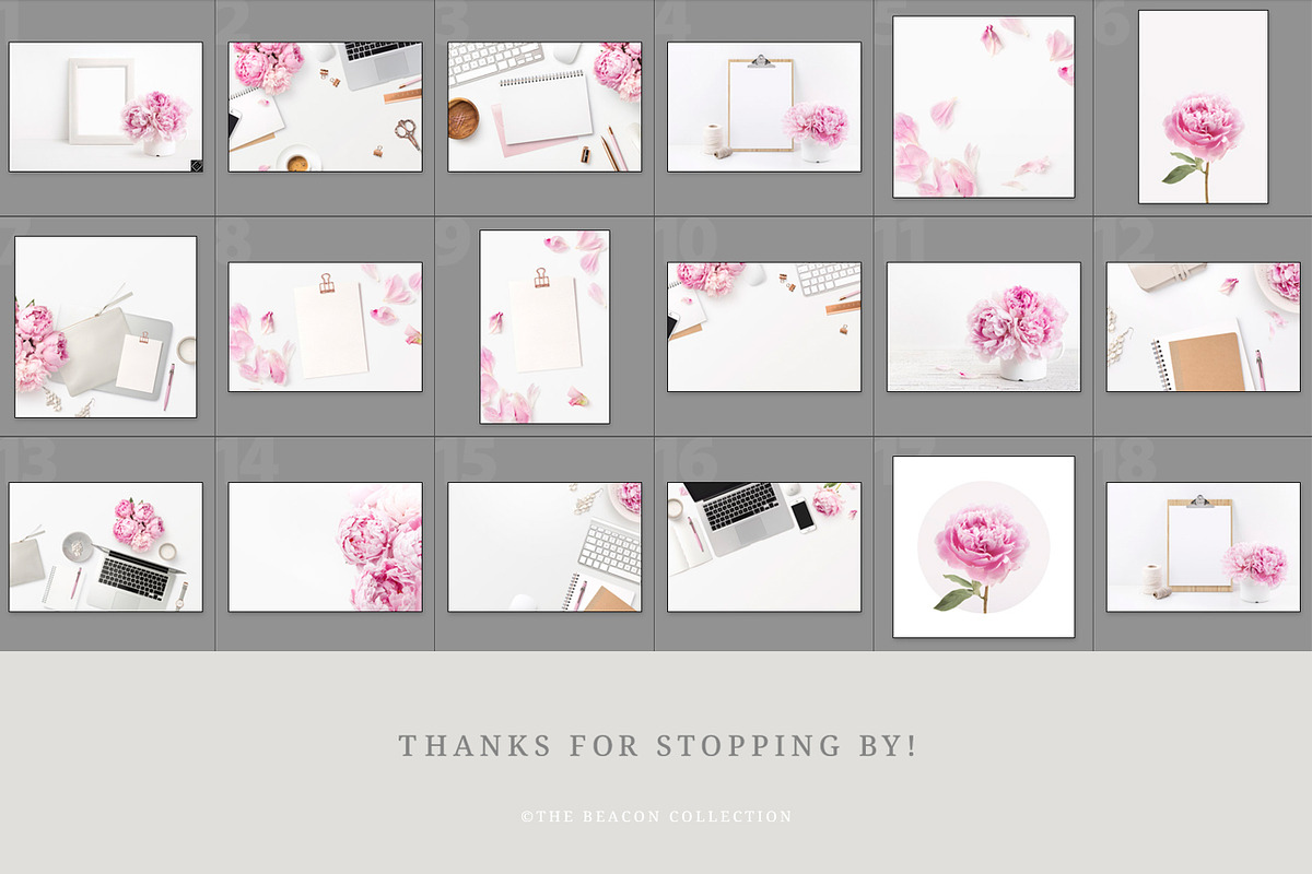 Pink Peonies - 16 Photos and Mockups, a Mockup by Anja Kaiser (Photo 6 of 6)