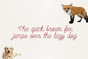 Silgoumy Font, a Script Font by Niram Factory (Thumbnail 4 of 5)